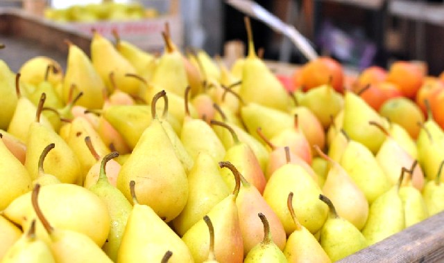 PERAS. Los consumidores pagaron 17 veces más de que lo que recibieron los productores de la fruta.