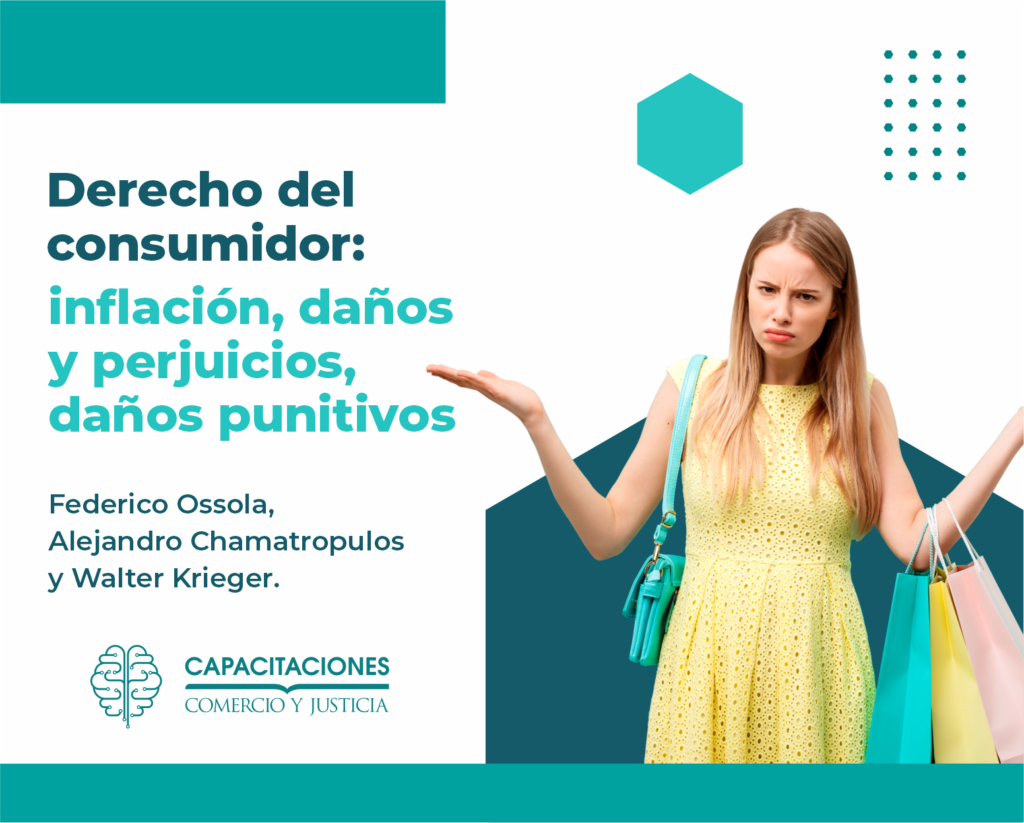 Derecho Del Consumidor Inflación Daños Y Perjuicios Daños Punitivos 9724