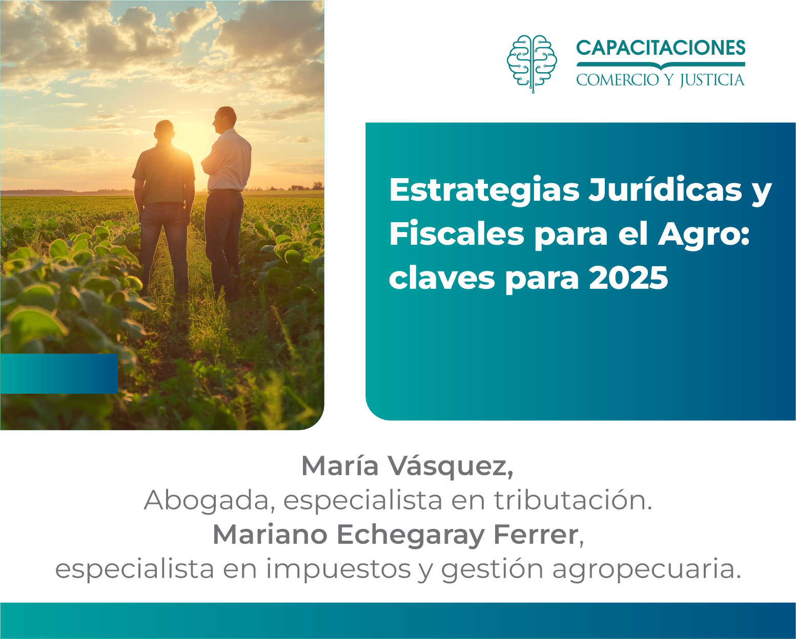 Estrategias jurídicas y fiscales para el agro: claves para el 2025