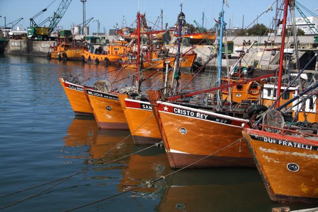el propósito Escarpa Mayordomo Mar del Plata prohíbe a un crucero el ingreso a su puerto – Comercio y  Justicia