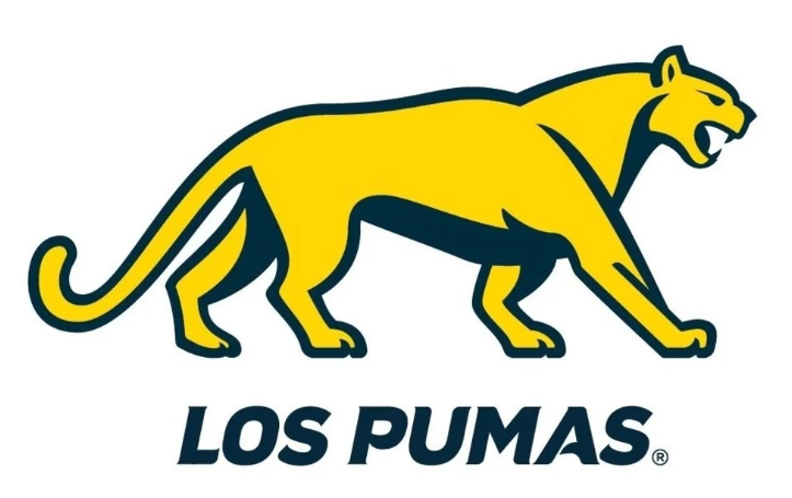 La Unión Argentina de Rugby presentó nuevo logo y proyecta futura ...
