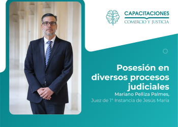 Posesión en diversos procesos judiciales